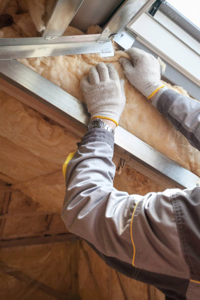 Insulation for Commercial Buildings in Dublin, CA