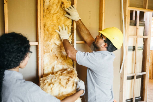 Best Garage Insulation Installation  in Dublin, CA