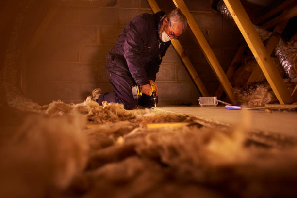 Best Insulation Installation Cost  in Dublin, CA